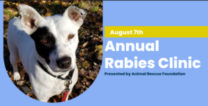 Rabies and Distemper Clinic on August 7th at Memorial Park in Beaonc