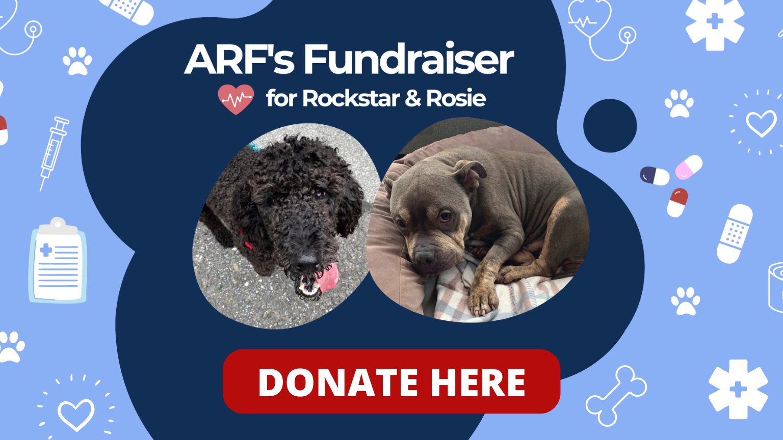 Fundraiser for Rockstar and Rosie