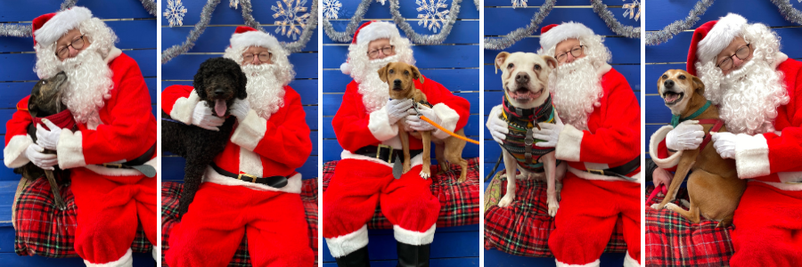 Pet Photos with Santa Fundraiser – Animal Rescue Foundation