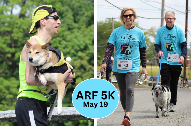 You’re Invited! 2024 ARF 5K – Animal Rescue Foundation